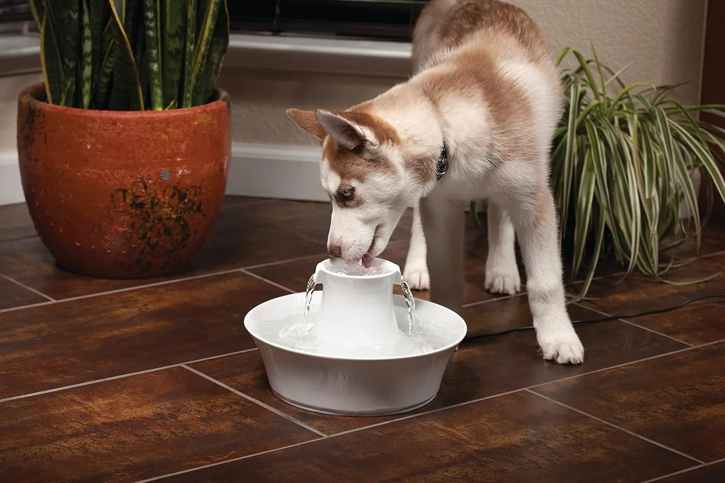 PetSafe Drinkwell 360 zapasowa pompa do fontanny dla zwierząt czarna