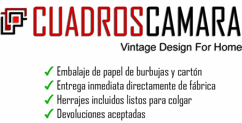 Cuadros Cámara Obraz Drewno Wielokolorowy 3 Elementy