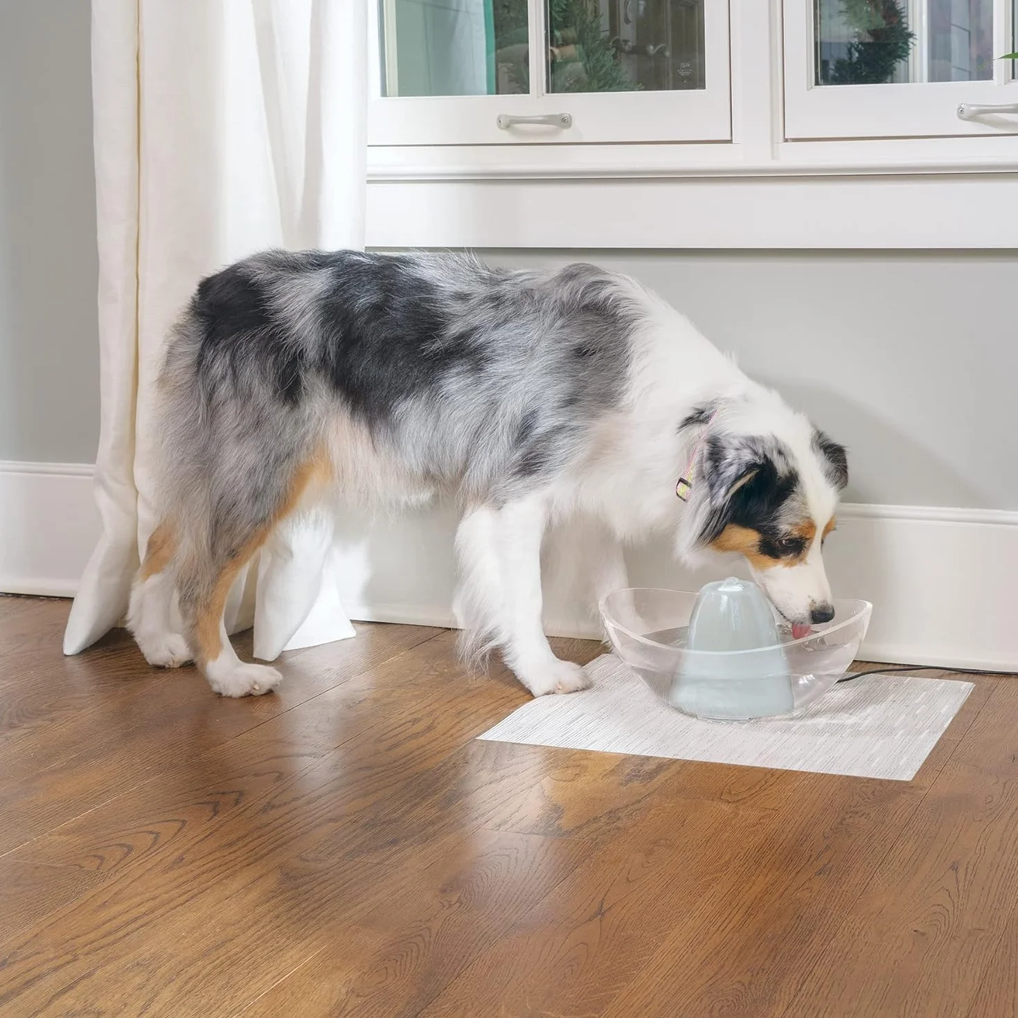 PetSafe Drinkwell 360 zapasowa pompa do fontanny dla zwierząt czarna