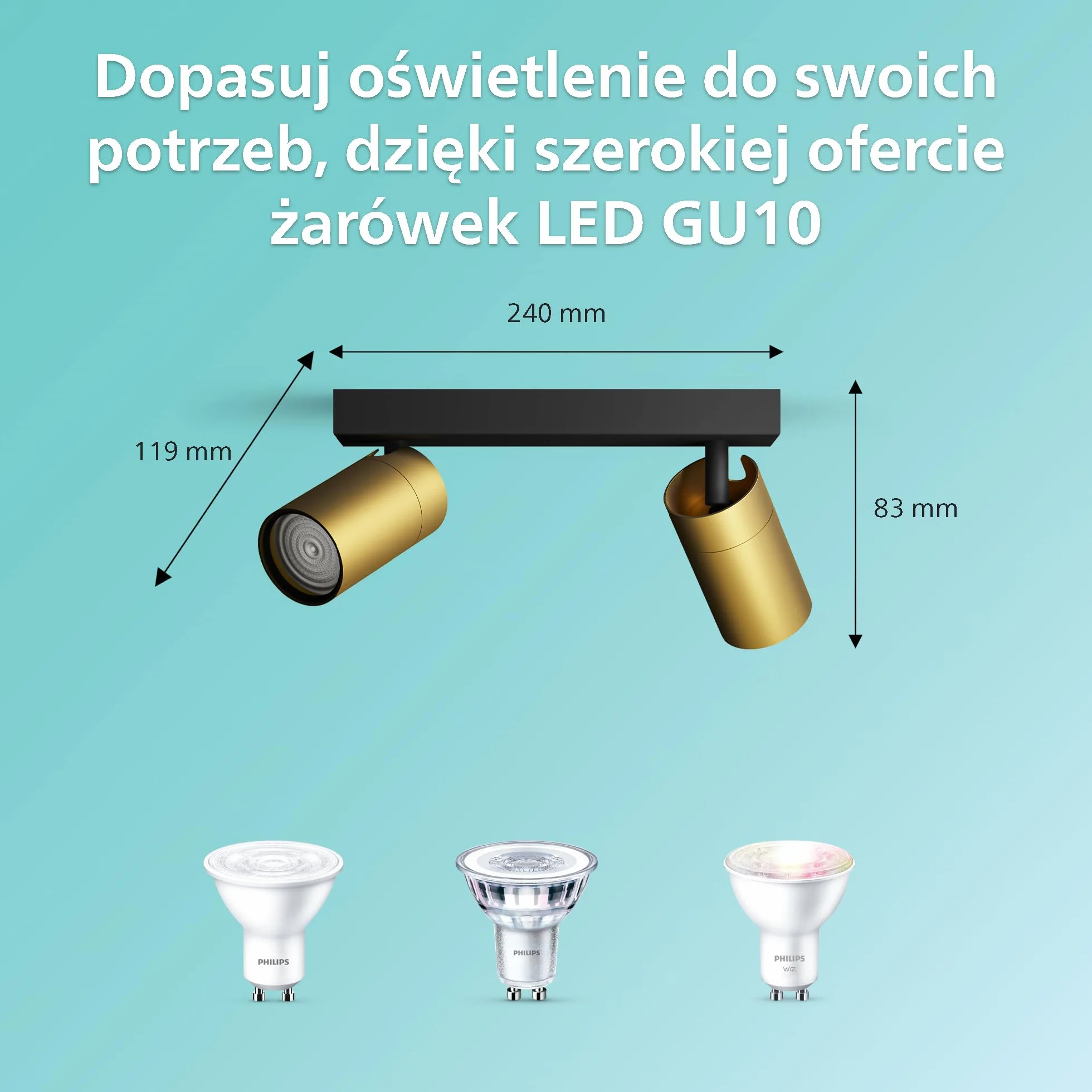 Philips Idris 2 głowicy, lampa GU10 nie wchodzi w zakres dostawy, mosiądz, IP44, wodoodporna