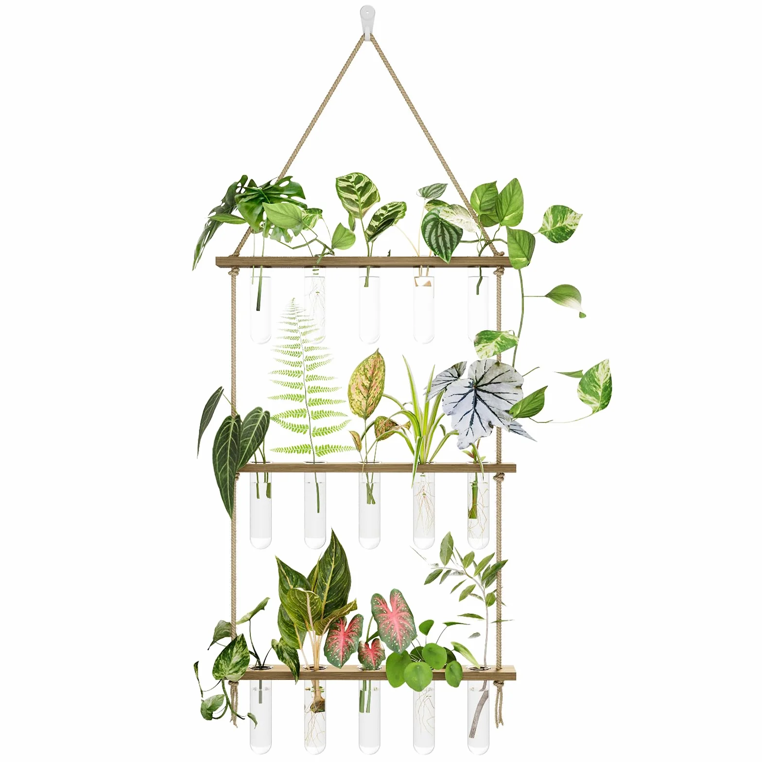 Bamworld Stacja do Rozmnażania Roślin z Drewnianą Stojakiem, 5 Szklanych Probówek na Rośliny, 3-Poziomowy Terrarium do Ukorzeniania, Wazon Hydroponiczny do Domu i Biura