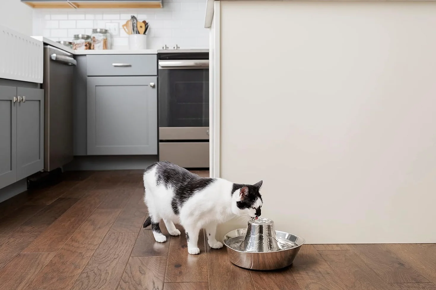 PetSafe Drinkwell 360 zapasowa pompa do fontanny dla zwierząt czarna