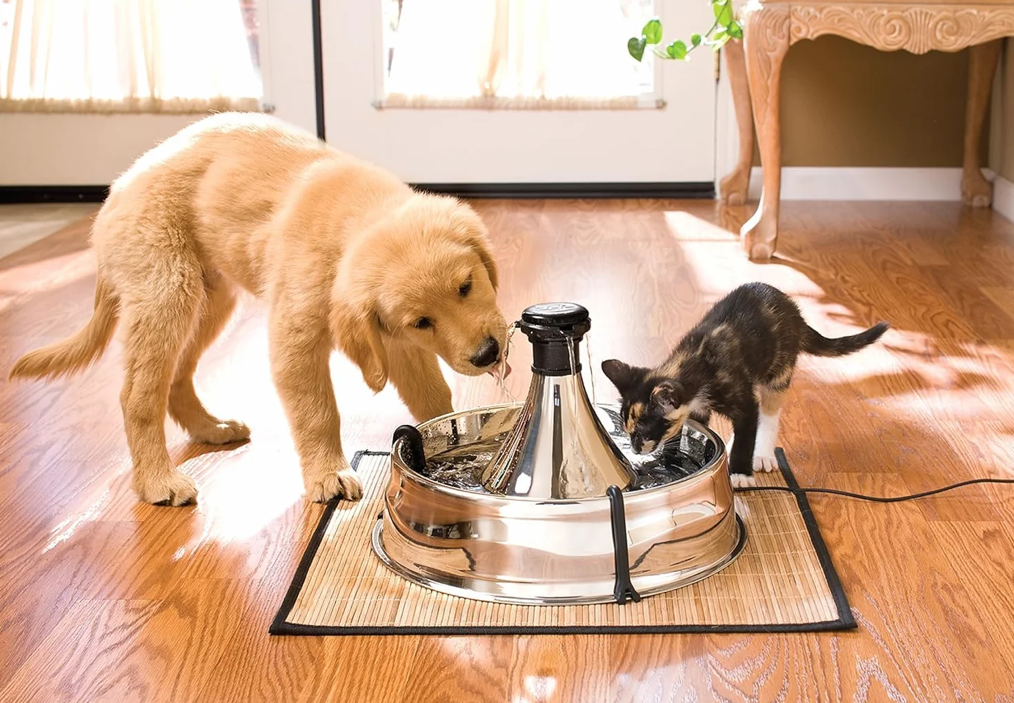 PetSafe Drinkwell 360 zapasowa pompa do fontanny dla zwierząt czarna