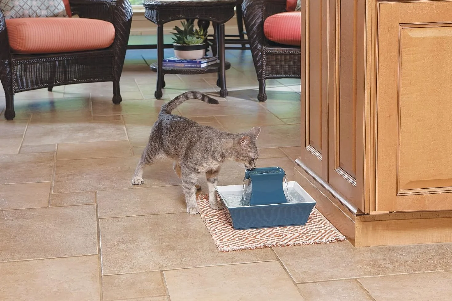 PetSafe Drinkwell 360 zapasowa pompa do fontanny dla zwierząt czarna