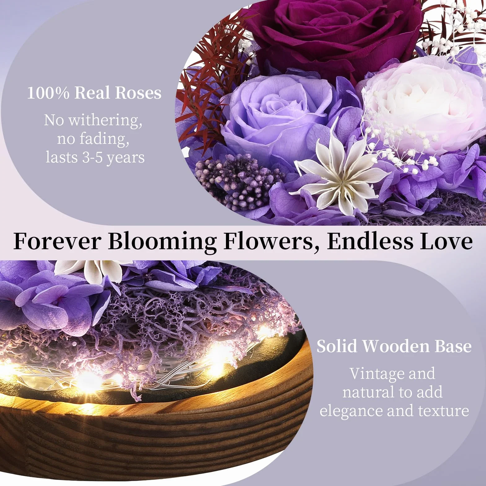 Emibele Mother's Day Eternal Rose Gifts for Mom, Preserved Real Rose in Glass Dome with LED Light for Decoration, Flowers for Delivery Prime, Gifts for Women Wife Her on Birthday Anniversary, Purple