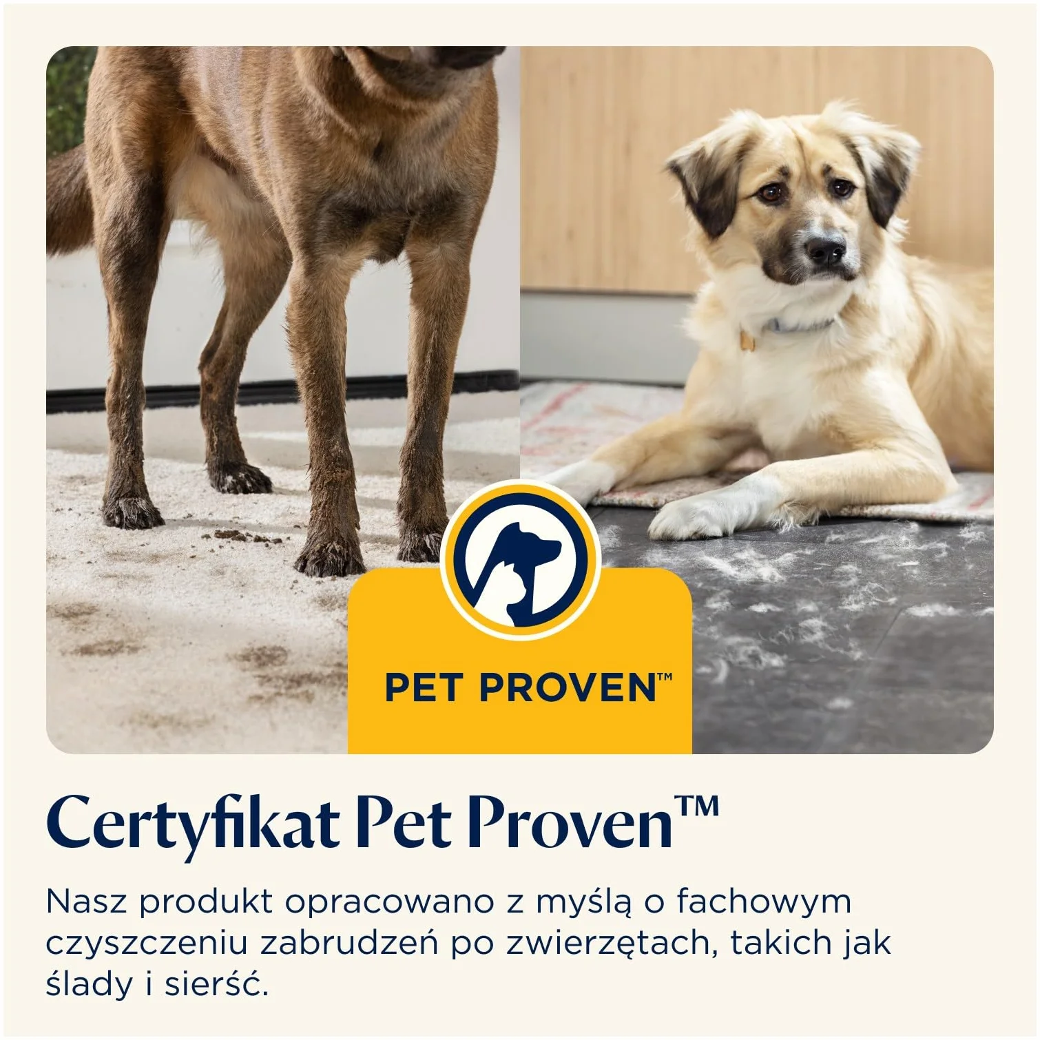 BISSELL CrossWave Edge, Odkurzacz Piorący i Na Mokro, Odkurzacz Pionowy, Systemem Samooczyszczania, Wielofunkcyjne Urządzenie Pionowe ZeroGap, Do Podłóg i Dywanów, 7.5m Kabel, 4088N