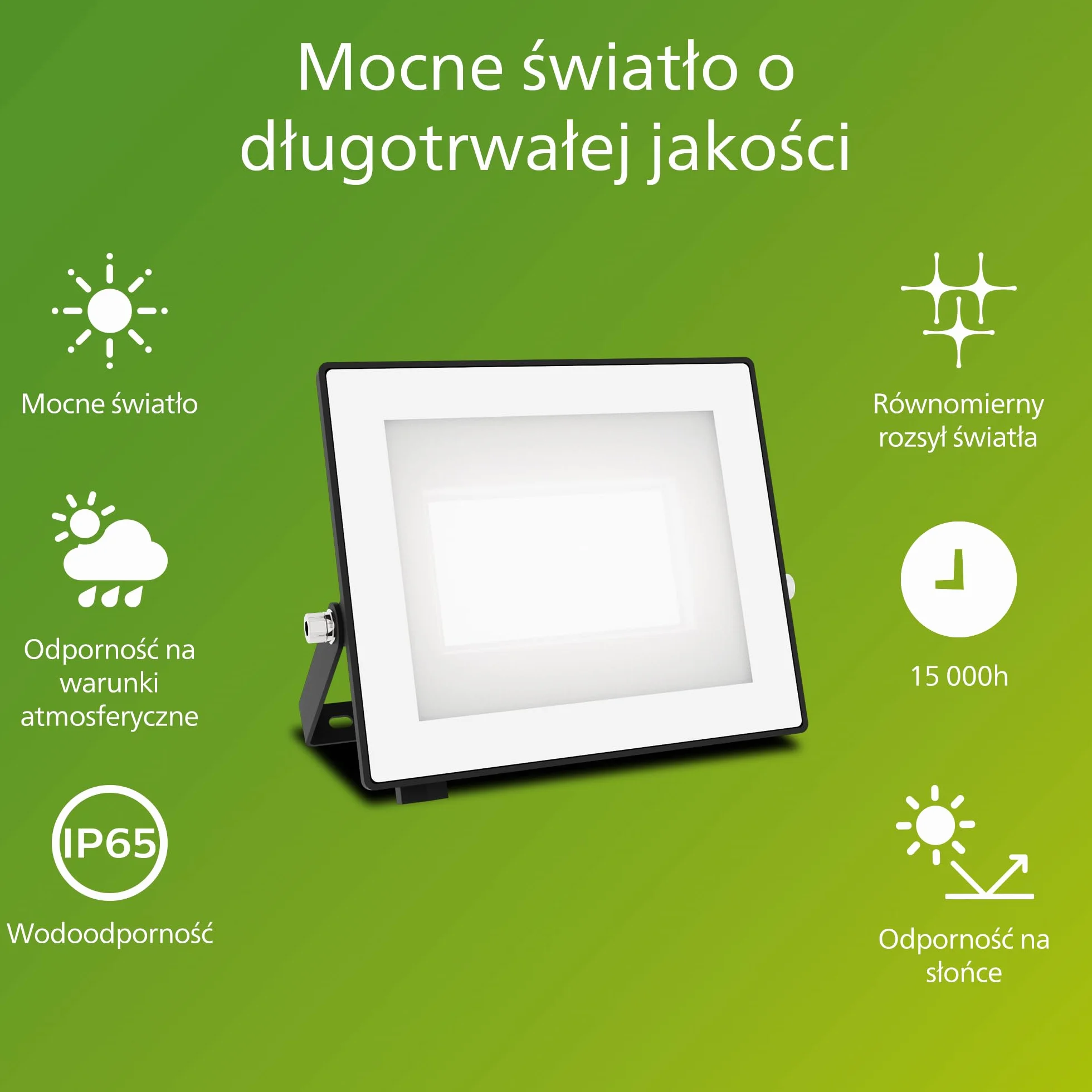 Philips Lois Zewnętrzna Lampa Floodlight, 30 W, 5000 K, Czarna