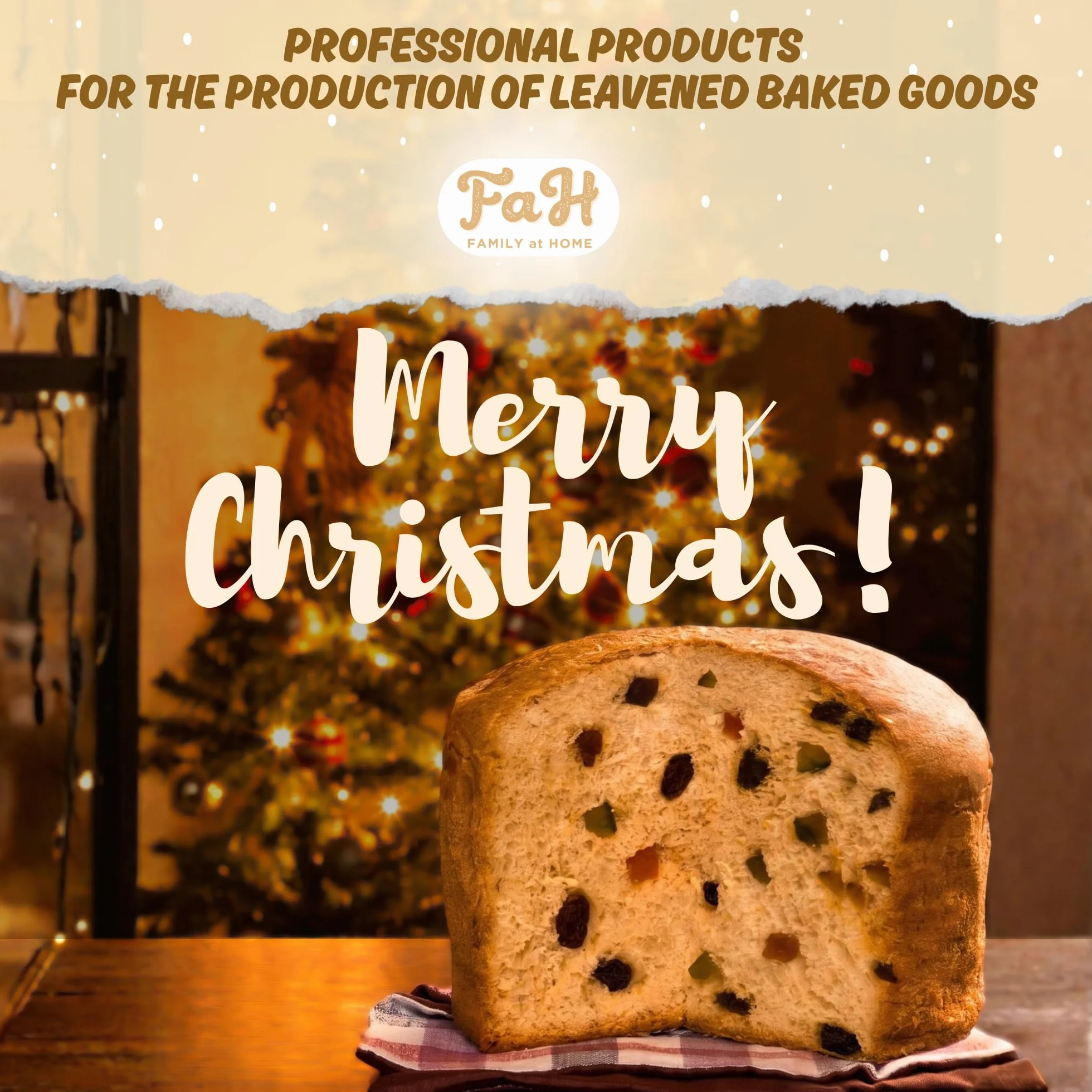 Forma Low Panettone, 500 g, jakość premium (10 sztuk) – profesjonalne kubki Panettone z czystego papieru celulozowego w kuchence mikrofalowej, zaprojektowane dla Panettone, odporne na wysokie