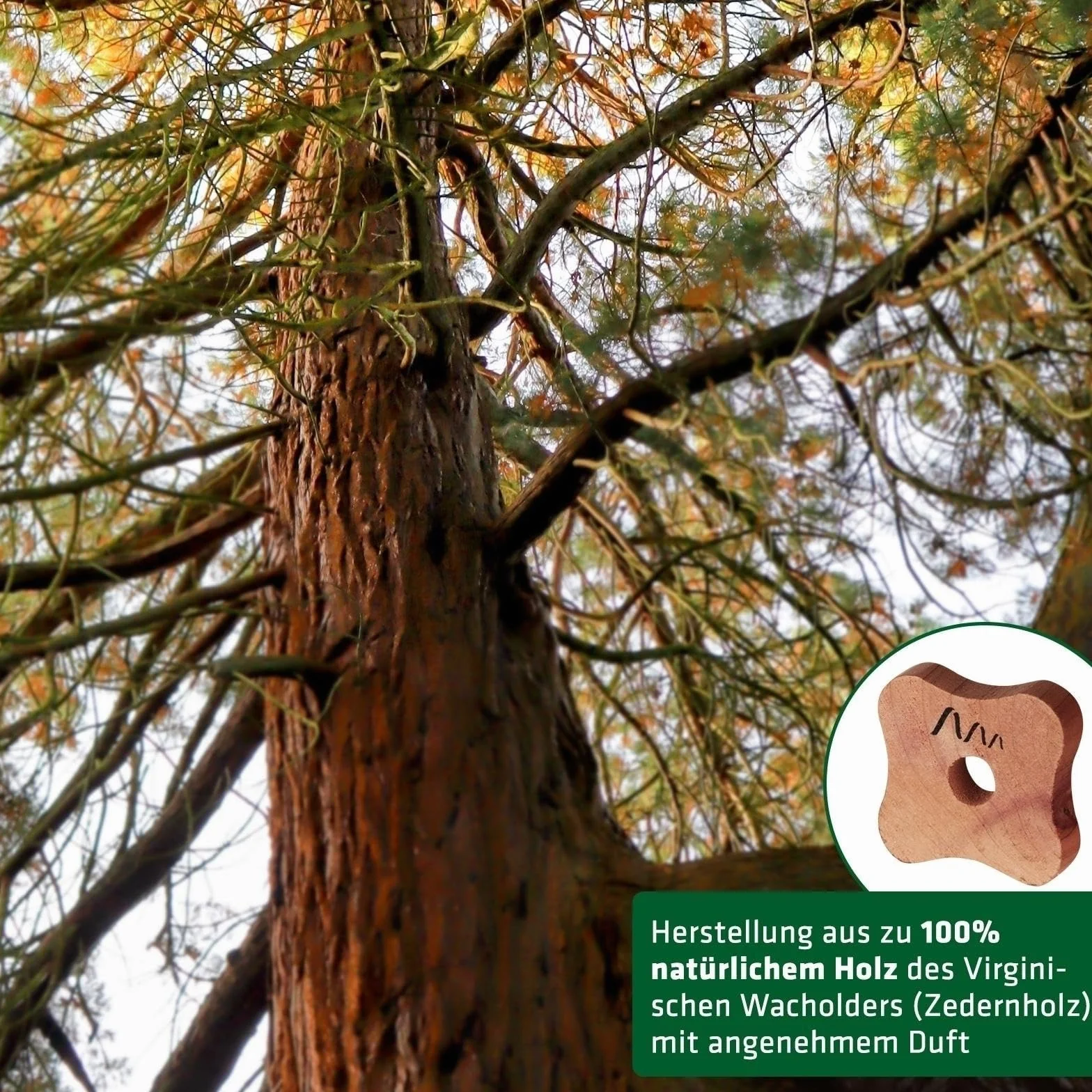 Gardigo zabezpieczenie przed molami do szafy I Zestaw 12 I wykonane z drewna cedrowego I Do szafy I Trwały produkt naturalny