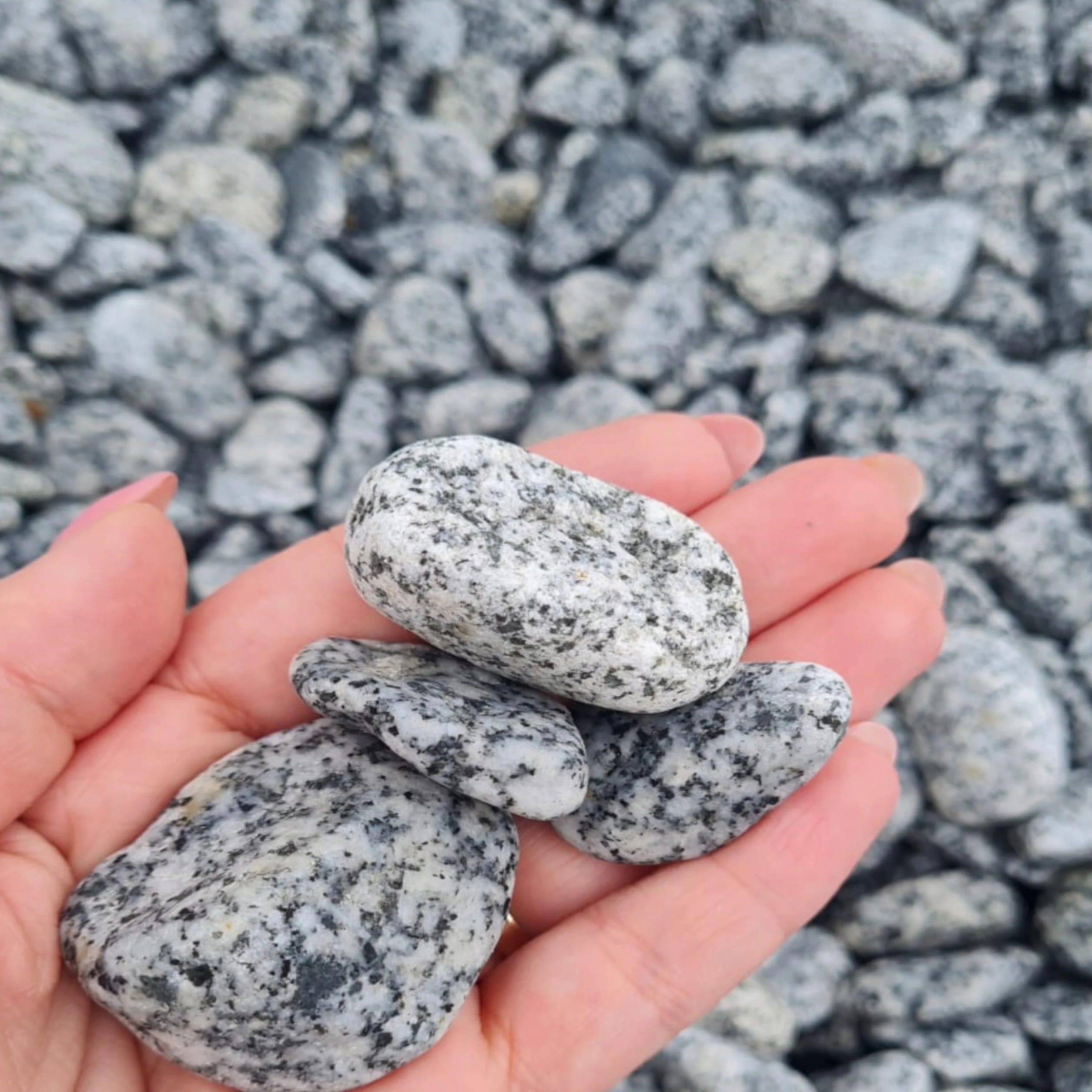 Kamienie dekoracyjne – szary żwirek – dalmatyńczyk – kamyki – różne dekoracje – naturalne kamienie dekoracyjne szare 2-4 cm – mieszany żwir rzeczny do wypełniania wazonów