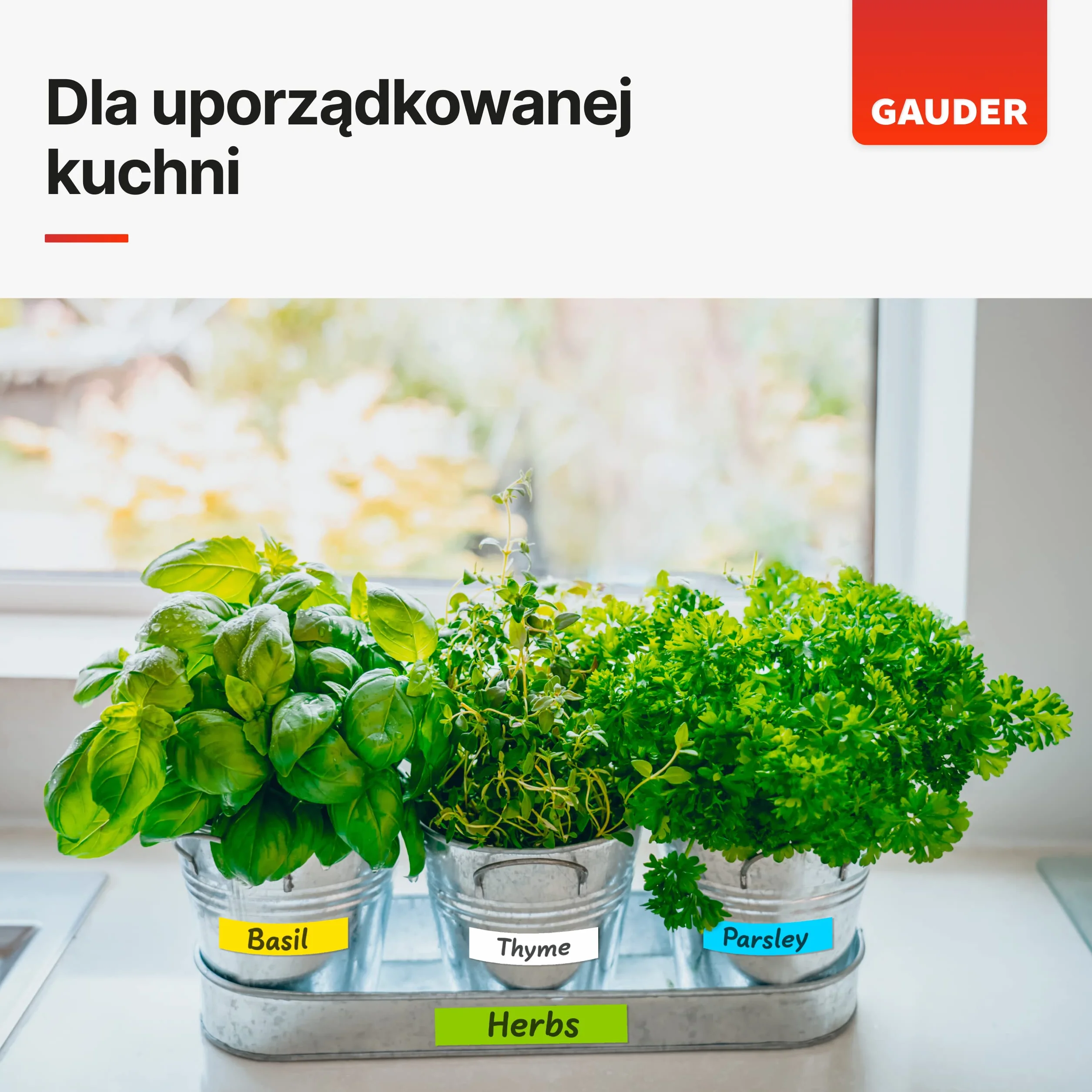 GAUDER 5x Paski Magnetyczne zapisywalne | Taśma Magnetyczna do pisania | Paski Magnetyczne zapisywalne wielokolorowe (25 mm x 1 m)