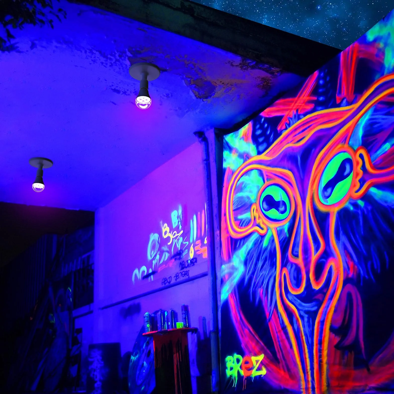 Onforu ON-GY01-UV-EU-2 Żarówki LED UV, E27, 7 W, Czarne Światło UV, 2 Sztuki
